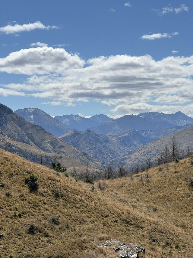 【ニュージーランド・クイーンズタウン】絶景に出会うトレイル「Queenstown Hill Walking Track」