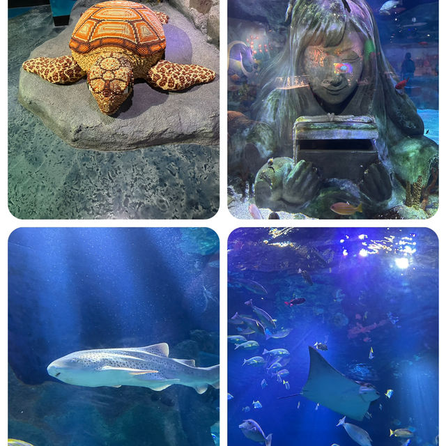 名古屋有名景點之一 Legoland及Sealife水族館