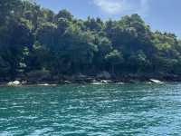 Nature at Koh Kong☀️  