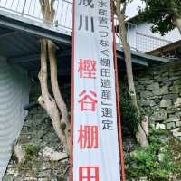 壺神山麓に広がる “天空の隠れ里” の絶景棚田