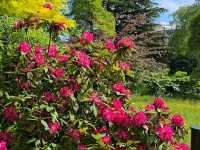 Bournemouth Parks - Lower Gardens