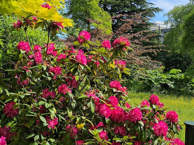 Bournemouth Parks - Lower Gardens
