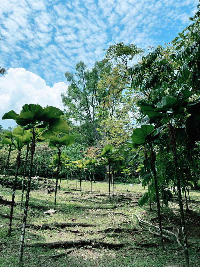 Taman Botani Perdana: Serene Green Escape in the Heart of KL