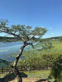 🌿 호수 따라 걷는 평온한 시간, 화성 보통저수지 🌤️