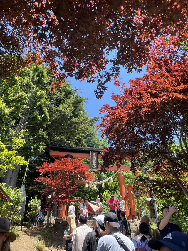 【秋日限定】淺間公園的夢幻畫面