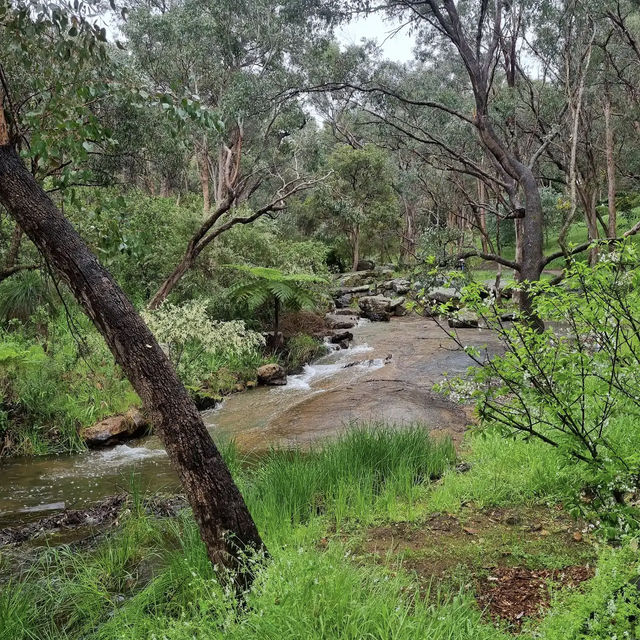 Araluen Botanic Park