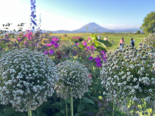北海道洞爺湖超靚景！Lake-Hill Farm美食vs風景一次滿足🍰🍦