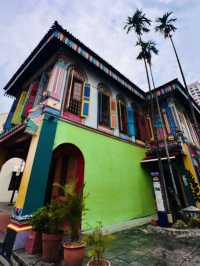 獅城新體驗 ~ 新加坡🌿