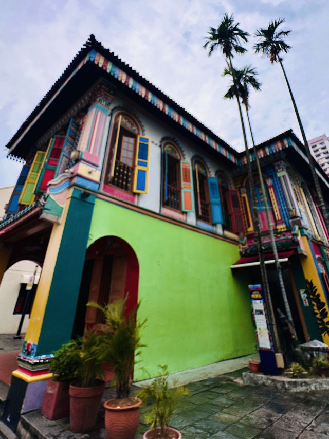 獅城新體驗 ~ 新加坡🌿