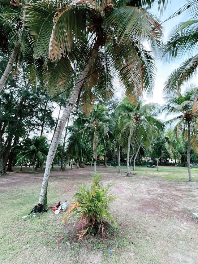 Golden Palm Tree Sepang: A Dreamy Overwater Escape Golden Palm Tree Sepang: A Dreamy Overwater Escape