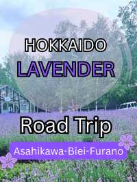 🪻วางแผน one day trip Asahikawa-biei-furano🪻