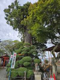 【宮城】仙台　愛宕神社(あたごじんじゃ)