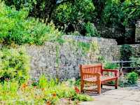 Ruins in Reverence: A Quiet Walk Through Bishop’s Palace, Llandaff