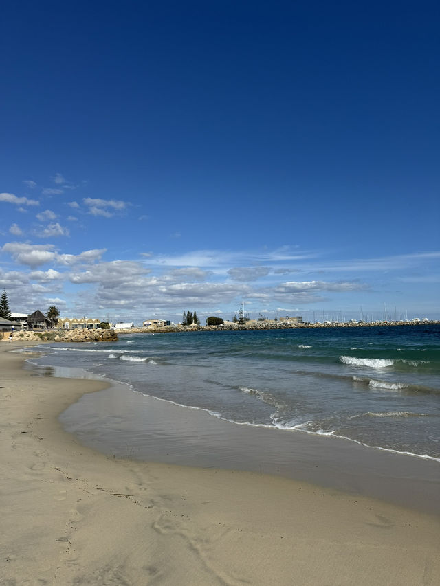 【オーストラリア・フリーマントル】港町の魅力を感じる散歩「Fremantle Walk」🚶‍♀️⚓