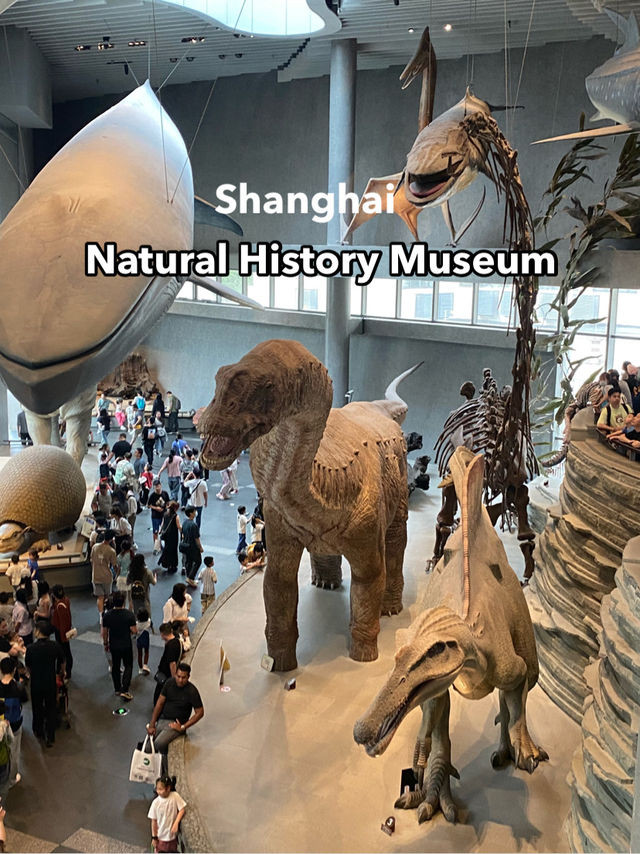 Natural History Museum ตื่นตาตื่นใจกับโลกดึกดำบรรพ์
