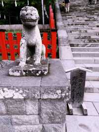Tsurugaoka Hachimangu Shrine: A Majestic Blend of History, Architecture, and Serenity 