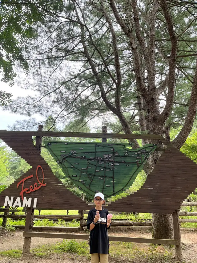 Pathways of Nami🌳