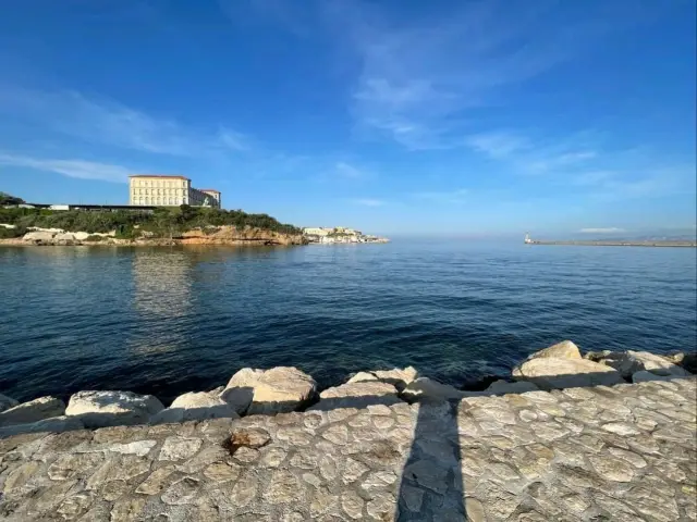 Vibrant Coastal Life in Marseille