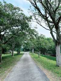 Paya Indah Wetlands: A Scenic Escape of Nature, Wildlife, and Fun