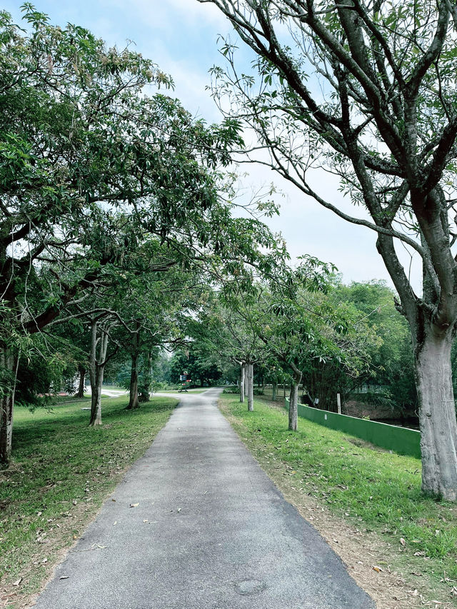 Paya Indah Wetlands: A Scenic Escape of Nature, Wildlife, and Fun Paya Indah Wetlands: A Scenic Escape of Nature, Wildlife, and Fun