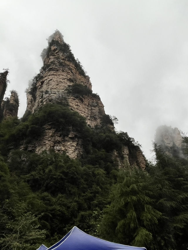 🌲 Zhangjiajie National Forest Park — The Ultimate 2-Day Guide for First-Timers 🌄