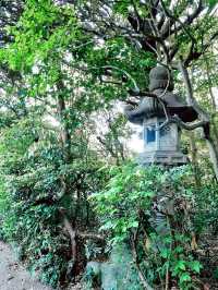 The Soloist's Secret Garden: Tozanso, Nagoya