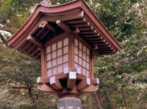 A Peaceful Escape in the Heart of Tokyo — Meiji Jingu Shrine