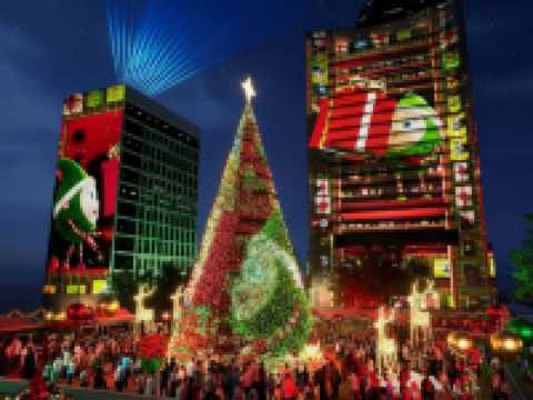 A Tapestry of Winter Light Woven on the Harbourfront