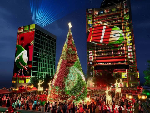 A Tapestry of Winter Light Woven on the Harbourfront
