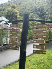 อุทยานแม่ตะไคร้ — สูดอากาศบริสุทธิ์พร้อมเพื่อนขนฟู