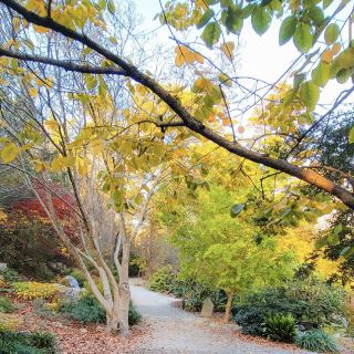 Sarah P. Duke Gardens