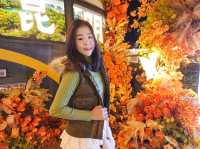 Nanping shopping street 昆明市