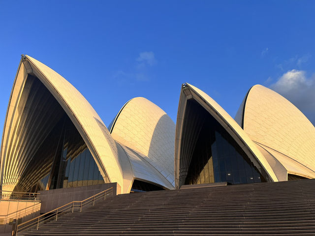 Sydney: Opera House Magicโจ๐ฆ๐บ โ๏ธ Sydney: Opera House Magicโจ๐ฆ๐บ โ๏ธ