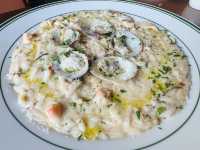 Flavors Worth Slowing Down For đ