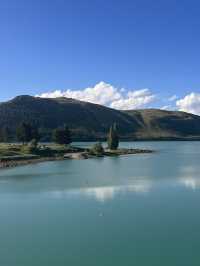念願のTekapo⛪️⭐️ルピナスが咲き誇ってた!