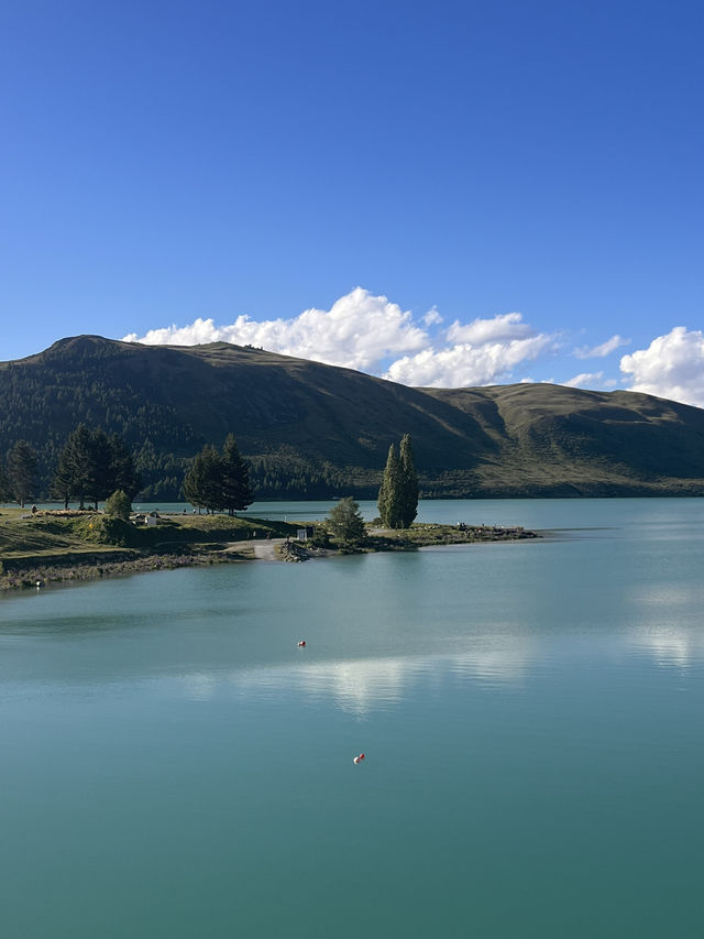 念願のTekapo⛪️⭐️ルピナスが咲き誇ってた! 念願のTekapo⛪️⭐️ルピナスが咲き誇ってた!