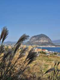 ๐ ์ ์ฃผ ์๊ทํฌ ์ก์
์ฐ ๋๋ ๊ธธ ์ ๋ณด ๐ข