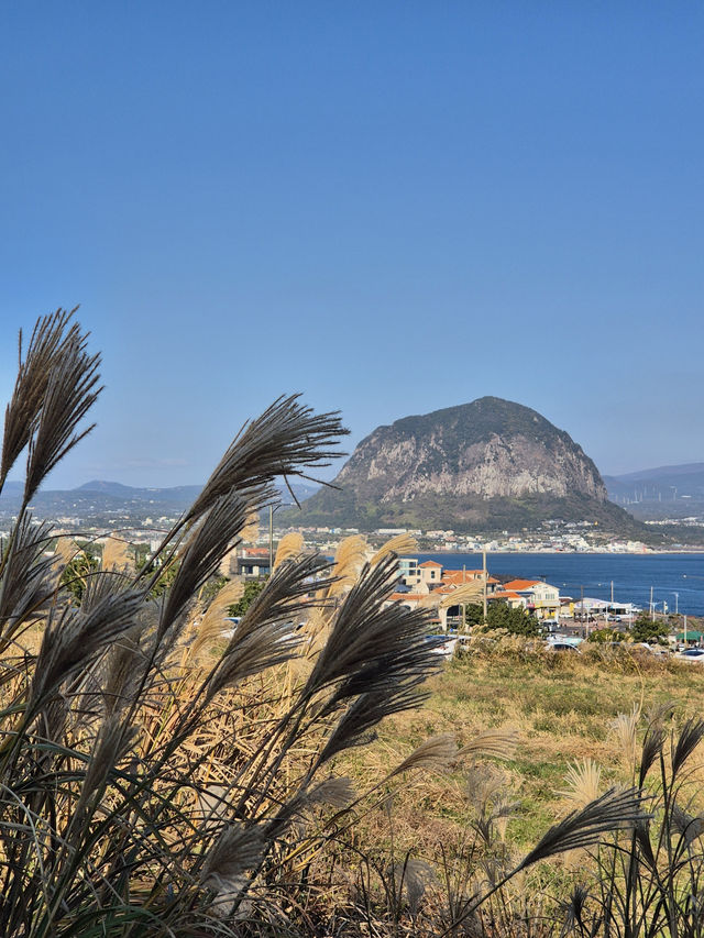 ๐ ์ ์ฃผ ์๊ทํฌ ์ก์
์ฐ ๋๋ ๊ธธ ์ ๋ณด ๐ข ๐ ์ ์ฃผ ์๊ทํฌ ์ก์
์ฐ ๋๋ ๊ธธ ์ ๋ณด ๐ข