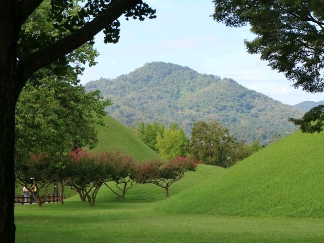 사계절 언제 가도 좋은 천년고도 경주 사계절 언제 가도 좋은 천년고도 경주