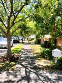 🤍Dreamy Gem Of Sydney🤍