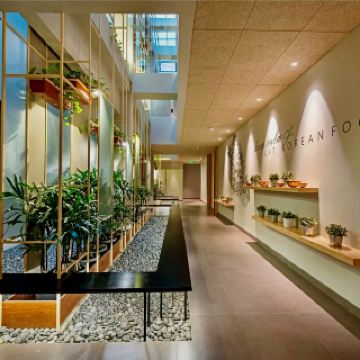 Cahaya yang Ditenun & Kemewahan yang Dibisikkan