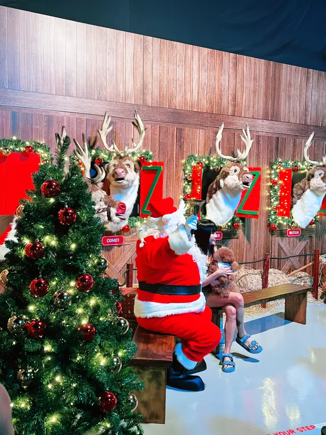 Christmas Wonderland Singapore: A Magical Festive Escape