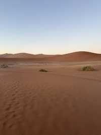 【世界最古の砂漠】ナミブ砂漠🇳🇦