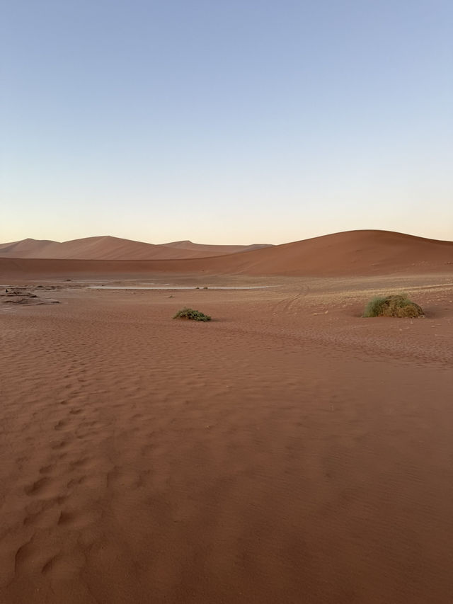 【世界最古の砂漠】ナミブ砂漠🇳🇦