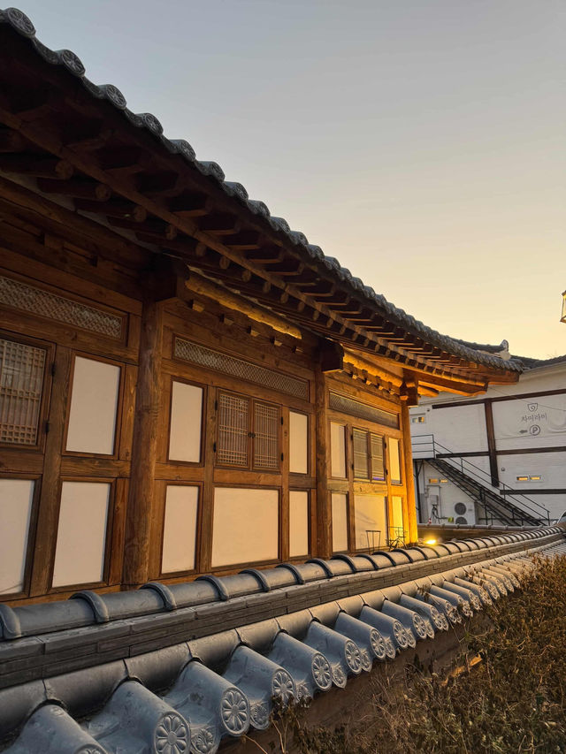 Autumn Culture Walk🍂 Autumn Culture Walk🍂