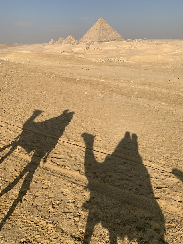 🐪埃及|吉薩金字塔群 騎駱駝體驗|金字塔大片輕鬆拍 🐪埃及|吉薩金字塔群 騎駱駝體驗|金字塔大片輕鬆拍