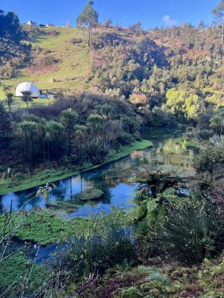 บ่อน้ำพุสีฟ้าปูตาลูรู ประเทศนิวซีแลนด์ | อัญมณีที่ซ่อนเร้นสุดงดงามสำหรับนักผจญภัย 🦋 ผืนน้ำธรรมชาติใสสะอาดดุจคริสตัล