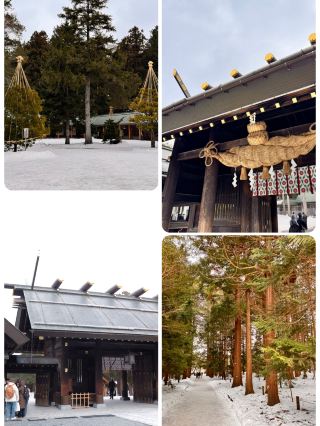 毫無計劃也能成就完美的城市，還有在其中的我——北海道。
