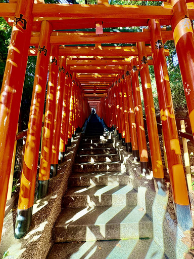 日枝神社内山王稲荷神社】の鳥居階段、都会に現れる静かな別世界