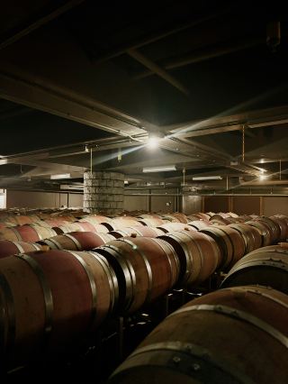 [Usa City, Oita] Kyushu's Proud Wine Village! The Finest Vintages Crafted by Nature.